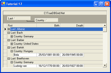 C1 True DBGrid for .NET supports VS2010