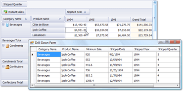 XtraPivotGrid Suite v2011 adds asynchronous mode