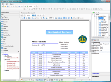 ActiveReports 7 adds WPF Viewer