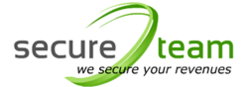 About SecureTeam