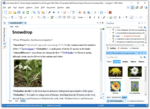 Oxygen XML Editor Professional V22