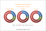 About DevExpress Silverlight