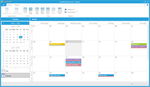 Telerik UI for WPF- Outlook Style- Calendar