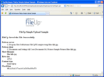 SoftArtisans FileUp Professional
