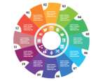 Infographic Pie Chart