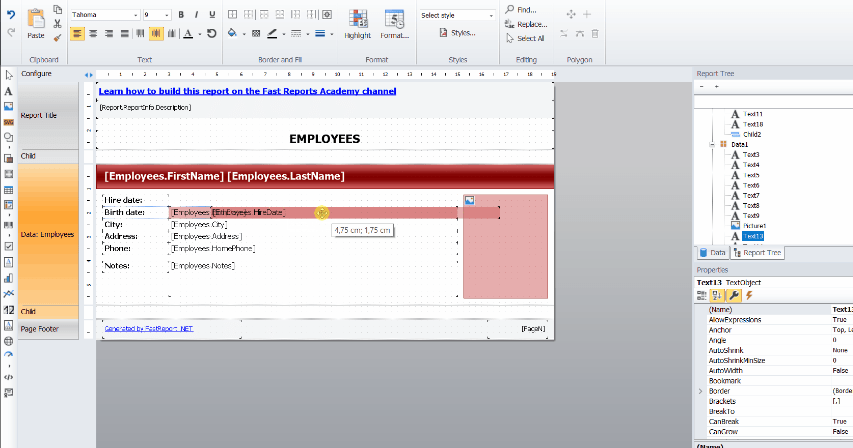 FastReport Desktop 2022.2