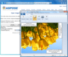 Aspose.Imaging for .NETバージョン3.8.0