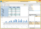 WebPivotTable