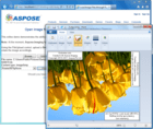 Aspose.Imaging for .NET（英語版）