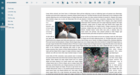 GrapeCity Documents for PDF