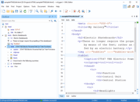 Oxygen XML Editor Enterprise