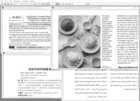 Big Faceless PDF Library