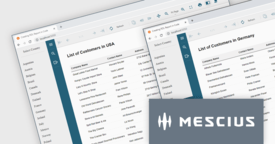 Crea un report RDL nel codice C# .NET