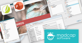Converti facilmente i progetti Flare in PowerPoint
