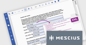 C#을 사용하여 PDF 양식 데이터를 추출하고 XML로 변환하세요