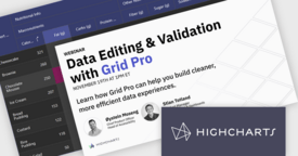 Discover Powerful Data Editing and Validation with Grid Pro