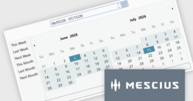 Simplify Date Range Selection with DateRangeEdit