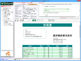 VB-Report 8（日本語版）v8.0.5270.2014