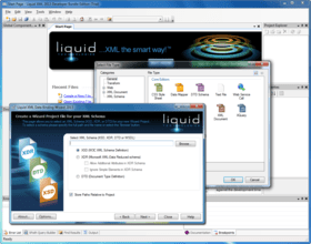 Liquid XML Developer Bundle 2020 (18.0.2 - 18.0.8)