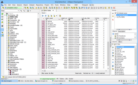 SQLDetective 5.1.1.361