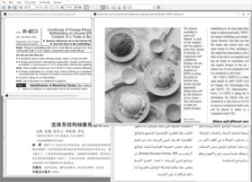 Big Faceless PDF Library v2.26.4