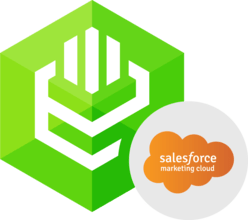 Devart ODBC Driver for Salesforce Marketing Cloud 1.11.0