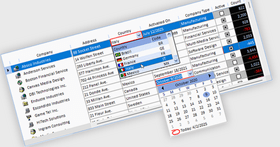 Customize Data Entry and Display