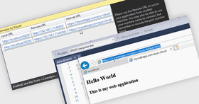 LANまたはインターネット経由でローカルアプリを表示