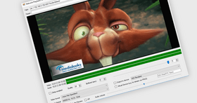 Add Real-Time Video with WebRTC 2.0 Support