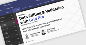 用 Grid Pro 发现强大的数据编辑和验证功能