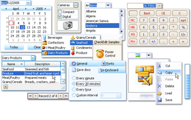 XtraEditors 2011 adds support for custom buttons