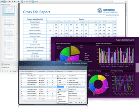 WebUI Studio Silverlight and WPF adds Reporting