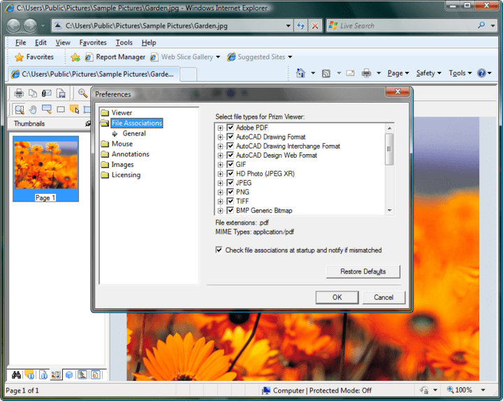 Internet Explorer 9 Open Pdf Automatically